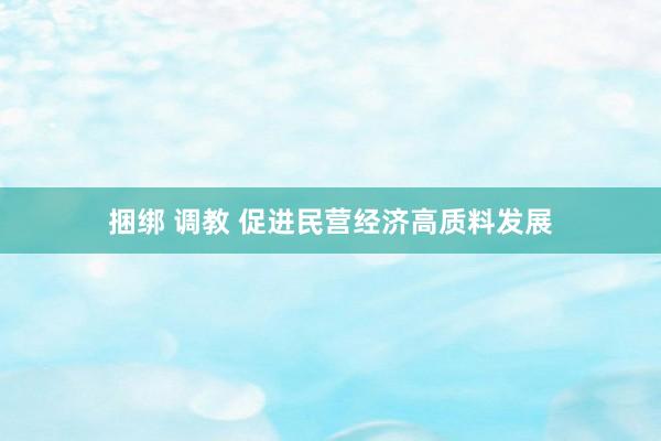 捆绑 调教 促进民营经济高质料发展