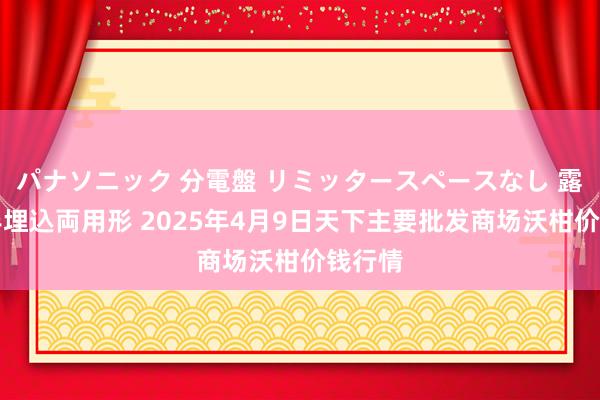 パナソニック 分電盤 リミッタースペースなし 露出・半埋込両用形 2025年4月9日天下主要批发商场沃柑价钱行情