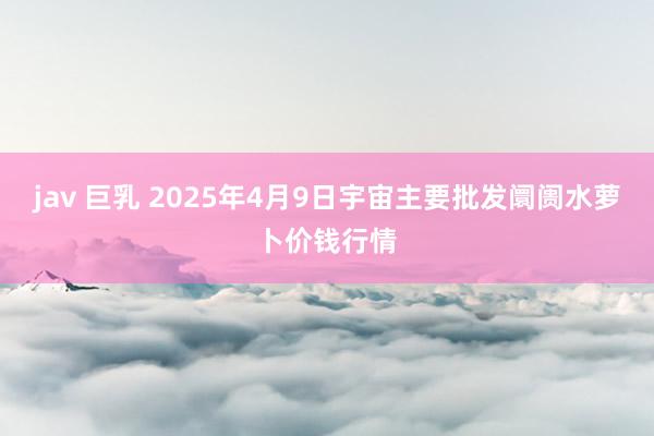 jav 巨乳 2025年4月9日宇宙主要批发阛阓水萝卜价钱行情