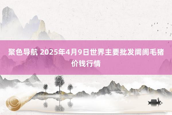 聚色导航 2025年4月9日世界主要批发阛阓毛猪价钱行情