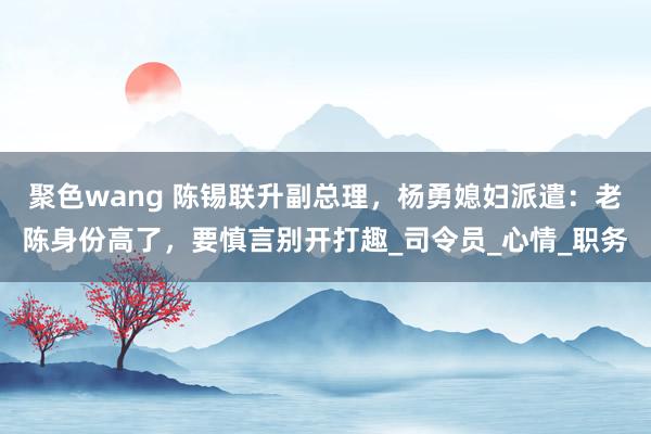 聚色wang 陈锡联升副总理，杨勇媳妇派遣：老陈身份高了，要慎言别开打趣_司令员_心情_职务