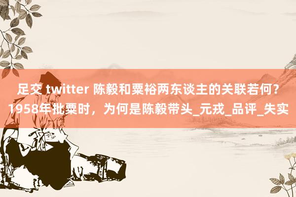 足交 twitter 陈毅和粟裕两东谈主的关联若何？1958年批粟时，为何是陈毅带头_元戎_品评_失实