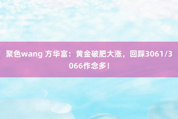 聚色wang 方华富：黄金破肥大涨，回踩3061/3066作念多！