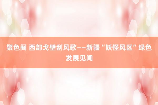 聚色阁 西部戈壁刮风歌——新疆“妖怪风区”绿色发展见闻