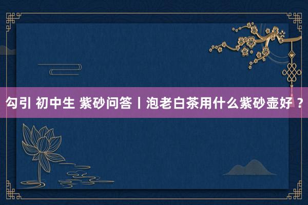 勾引 初中生 紫砂问答丨泡老白茶用什么紫砂壶好 ？