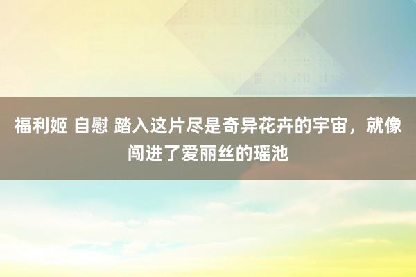 福利姬 自慰 踏入这片尽是奇异花卉的宇宙，就像闯进了爱丽丝的瑶池