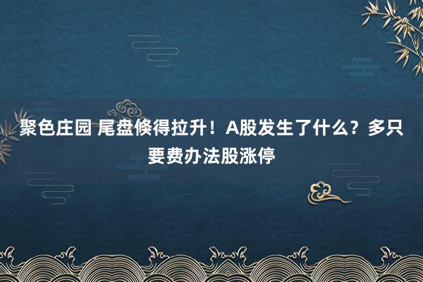聚色庄园 尾盘倏得拉升！A股发生了什么？多只要费办法股涨停