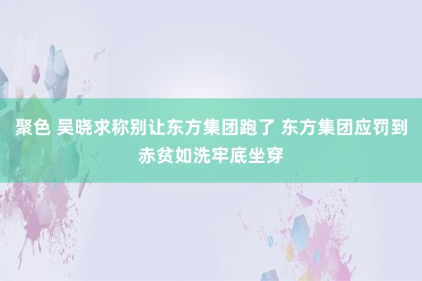 聚色 吴晓求称别让东方集团跑了 东方集团应罚到赤贫如洗牢底坐穿