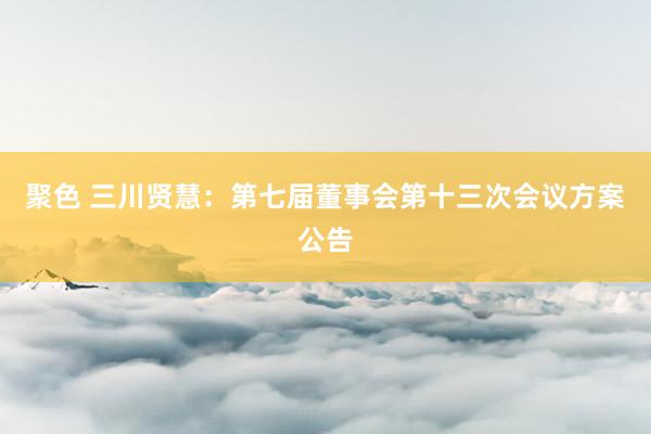聚色 三川贤慧：第七届董事会第十三次会议方案公告