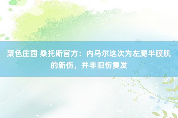 聚色庄园 桑托斯官方：内马尔这次为左腿半膜肌的新伤，并非旧伤复发