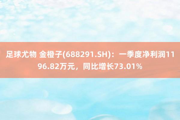 足球尤物 金橙子(688291.SH)：一季度净利润1196.82万元，同比增长73.01%