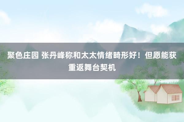 聚色庄园 张丹峰称和太太情绪畸形好！但愿能获重返舞台契机