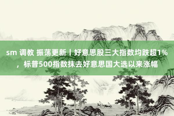 sm 调教 振荡更新丨好意思股三大指数均跌超1%，标普500指数抹去好意思国大选以来涨幅