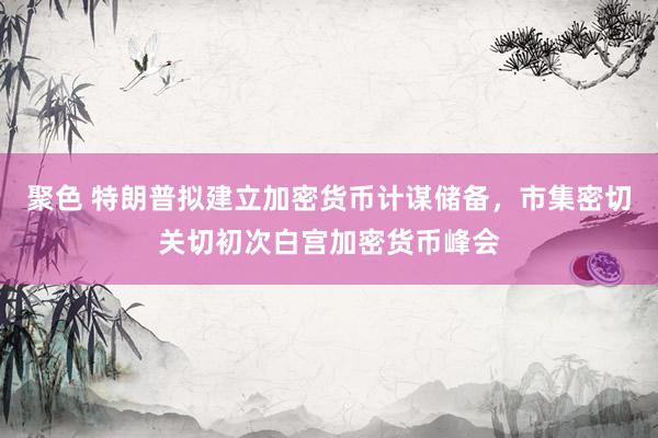 聚色 特朗普拟建立加密货币计谋储备，市集密切关切初次白宫加密货币峰会