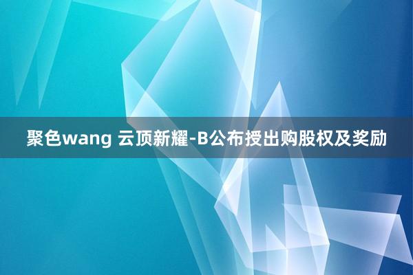聚色wang 云顶新耀-B公布授出购股权及奖励