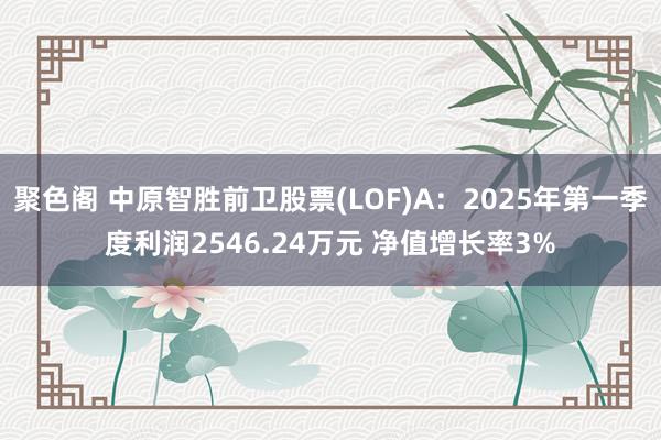 聚色阁 中原智胜前卫股票(LOF)A：2025年第一季度利润2546.24万元 净值增长率3%