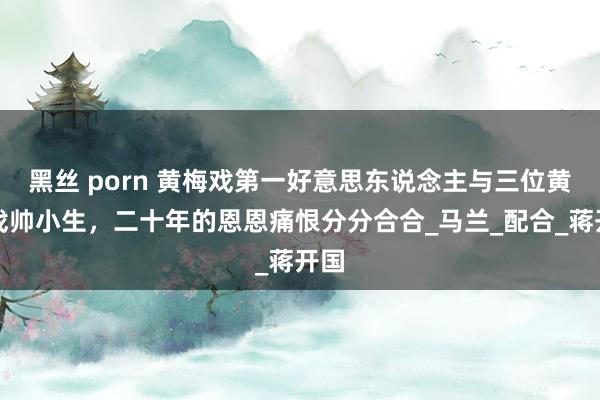 黑丝 porn 黄梅戏第一好意思东说念主与三位黄梅戏帅小生，二十年的恩恩痛恨分分合合_马兰_配合_蒋开国