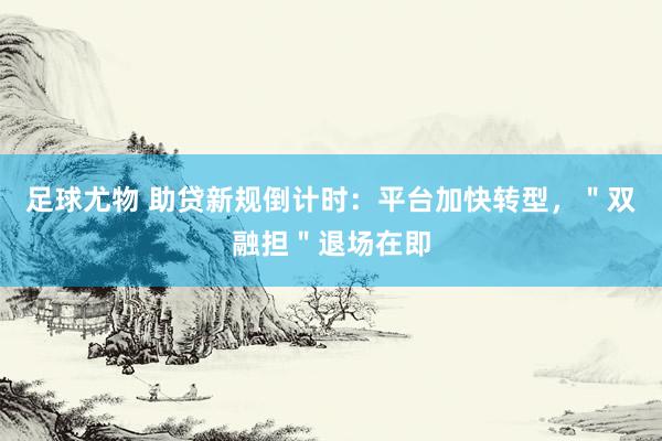 足球尤物 助贷新规倒计时：平台加快转型，＂双融担＂退场在即