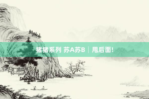 猪猪系列 苏A苏B│甩后面!